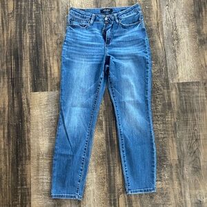 Judy Blue Classic Blue Skinny Jeans